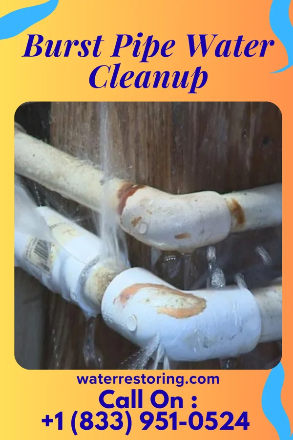 Burst Pipe Water Cleanup in Union, LA
