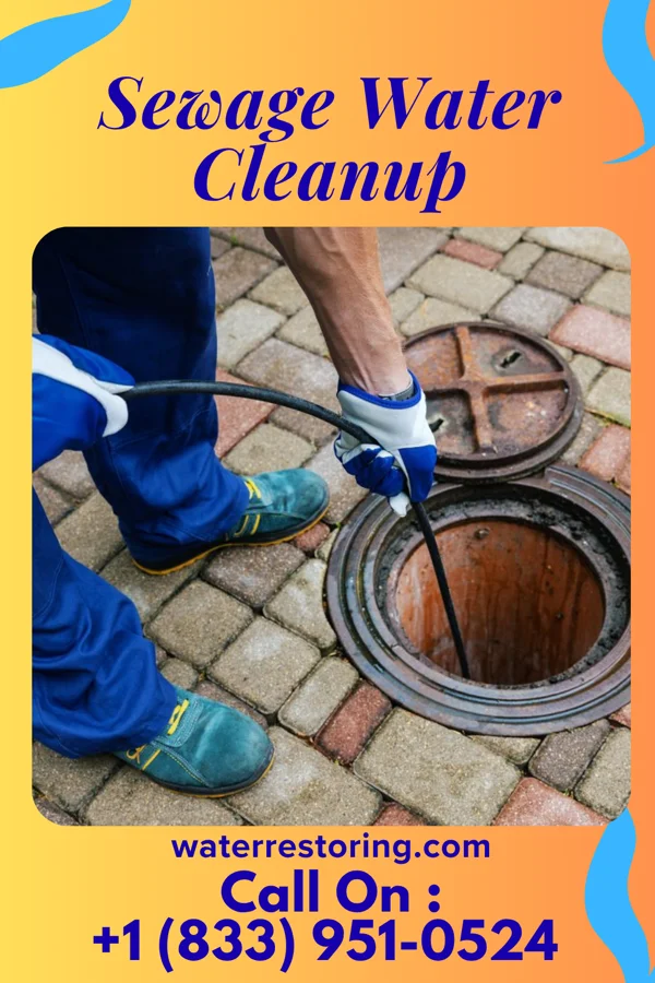 Sewage Water Cleanup in Union, LA